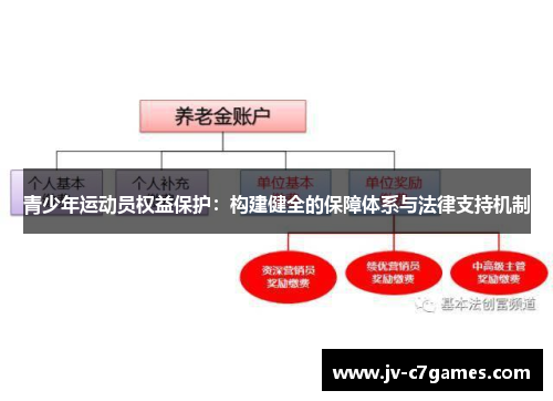 青少年运动员权益保护:构建健全的保障体系与法律支持机制 青少年运动员权益保护:构建健全的保障体系与法律支持机制